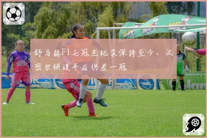 舒马赫F1七冠王纪录保持至今,汉密尔顿追平后仍差一冠